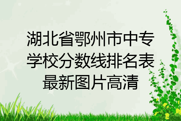 湖北省鄂州市中专学校分数线排名表最新图片高清