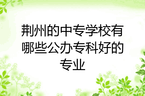 荆州的中专学校有哪些公办专科好的专业