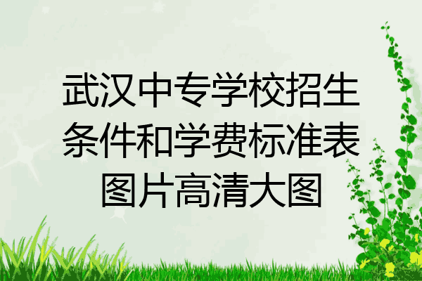 武汉中专学校招生条件和学费标准表图片高清大图