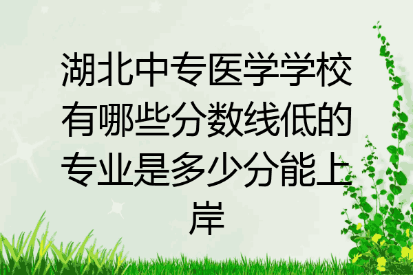 湖北中专医学学校有哪些分数线低的专业是多少分能上岸