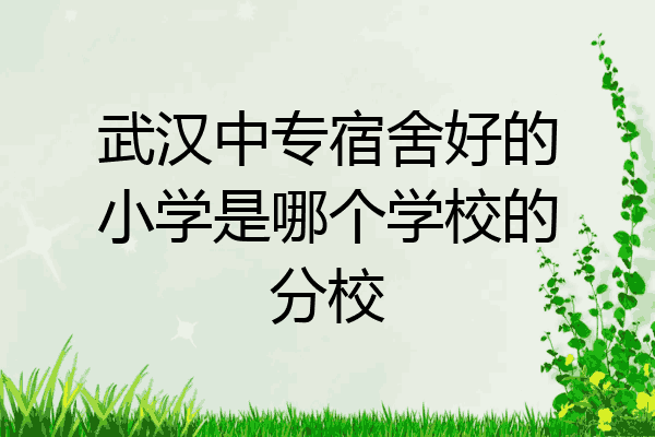 武汉中专宿舍好的小学是哪个学校的分校