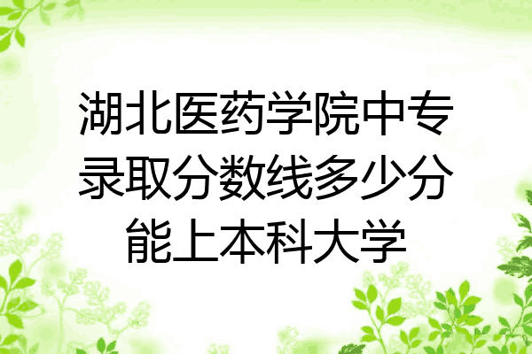 湖北医药学院中专录取分数线多少分能上本科大学