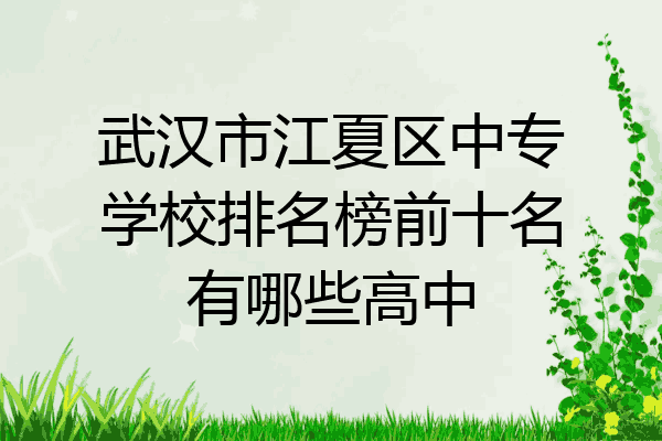 武汉市江夏区中专学校排名榜前十名有哪些高中
