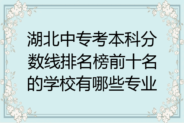 湖北中专考本科分数线排名榜前十名的学校有哪些专业