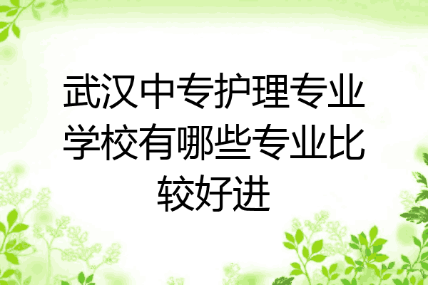 武汉中专护理专业学校有哪些专业比较好进