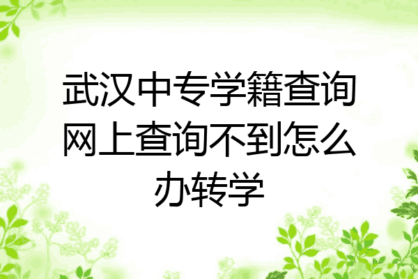 武汉中专学籍查询网上查询不到怎么办转学