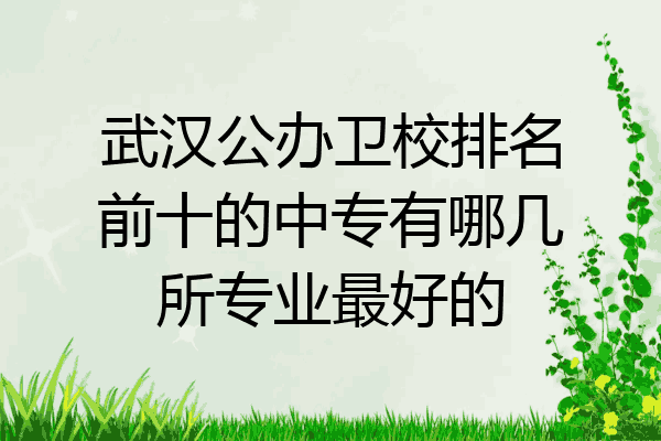 武汉公办卫校排名前十的中专有哪几所专业最好的