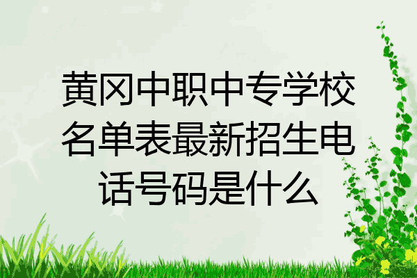 黄冈中职中专学校名单表最新招生电话号码是什么