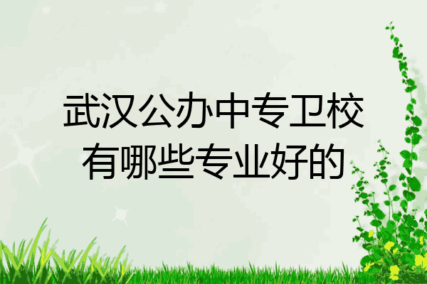 武汉公办中专卫校有哪些专业好的