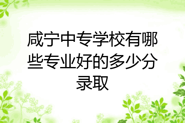 咸宁中专学校有哪些专业好的多少分录取