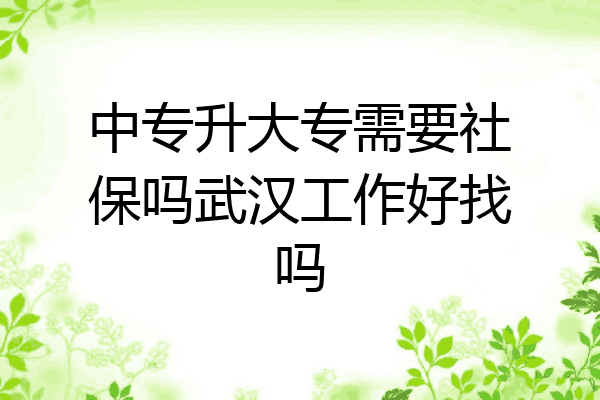中专升大专需要社保吗武汉工作好找吗