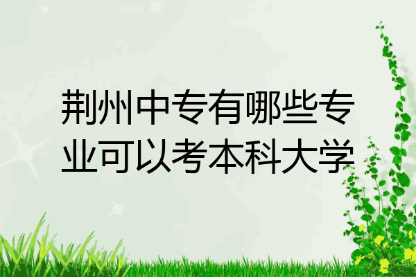 荆州中专有哪些专业可以考本科大学