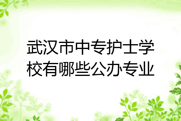 武汉市中专护士学校有哪些公办专业
