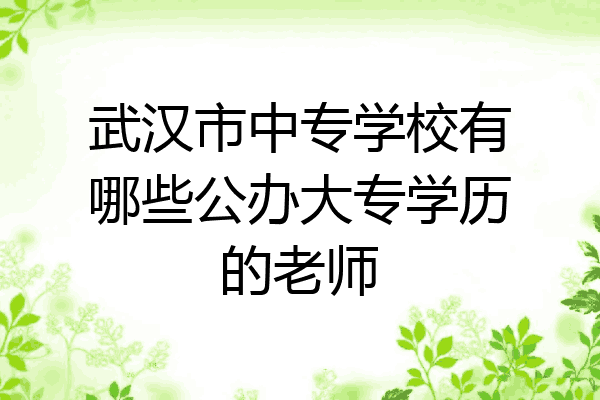 武汉市中专学校有哪些公办大专学历的老师