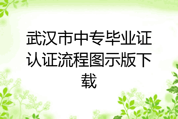 武汉市中专毕业证认证流程图示版下载