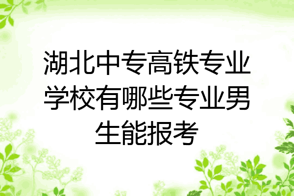 湖北中专高铁专业学校有哪些专业男生能报考