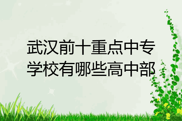 武汉前十重点中专学校有哪些高中部