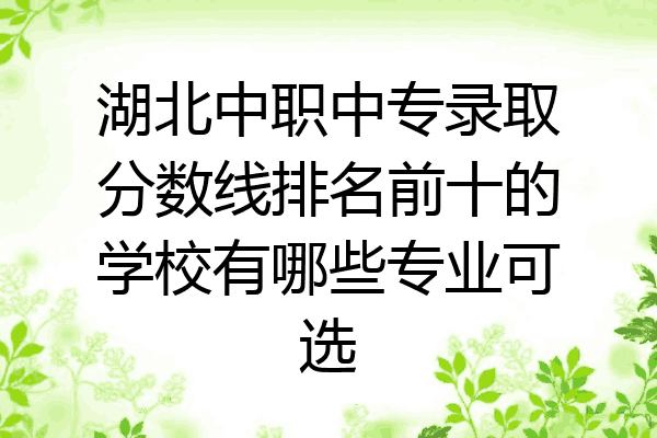 湖北中职中专录取分数线排名前十的学校有哪些专业可选