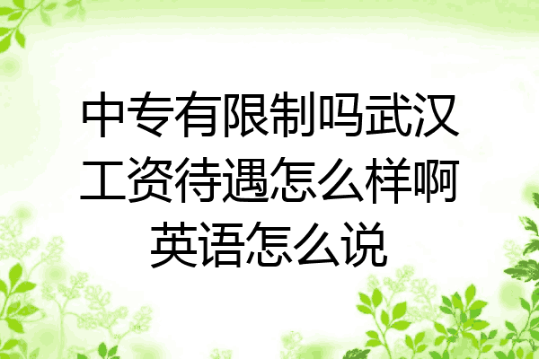 中专有限制吗武汉工资待遇怎么样啊英语怎么说