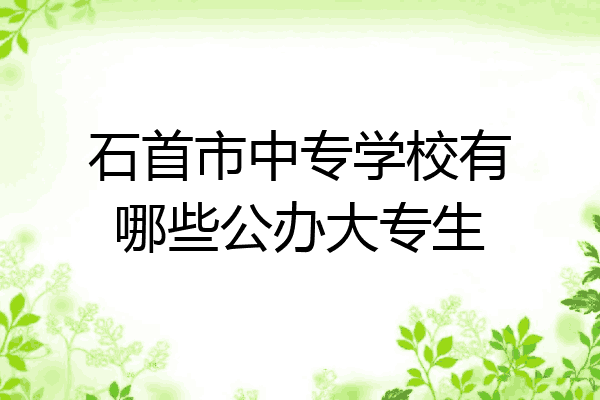 石首市中专学校有哪些公办大专生