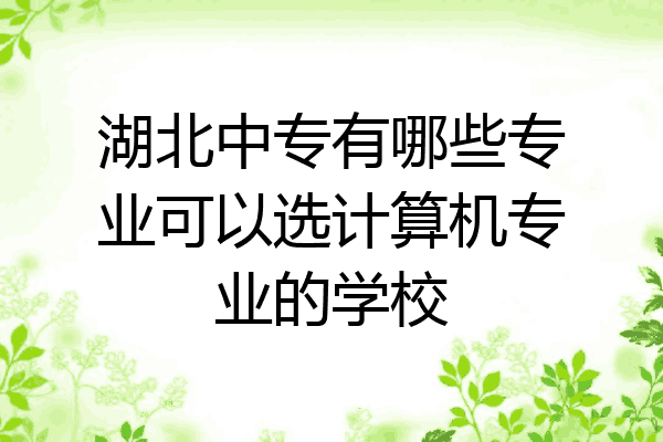 湖北中专有哪些专业可以选计算机专业的学校