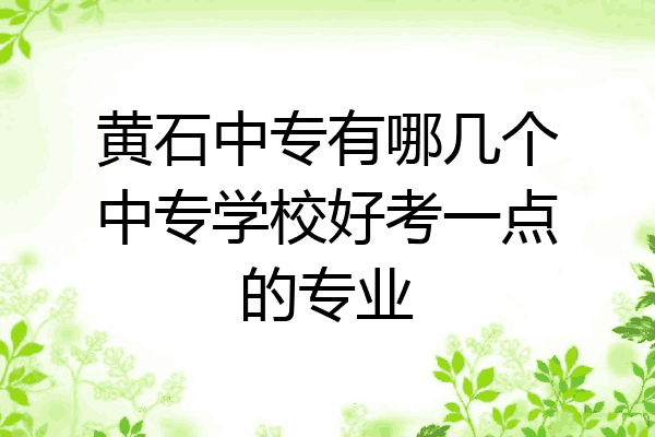 黄石中专有哪几个中专学校好考一点的专业