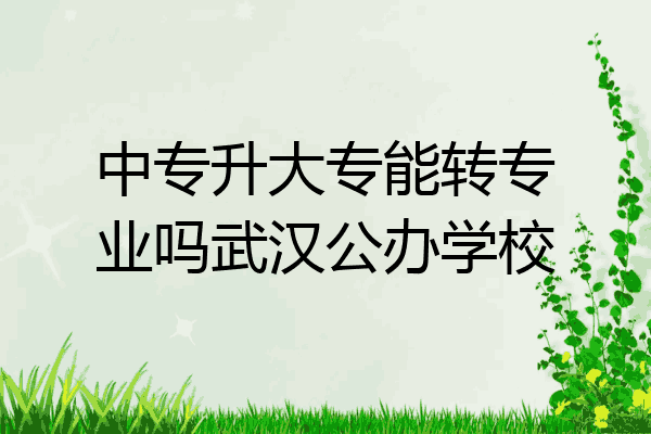 中专升大专能转专业吗武汉公办学校