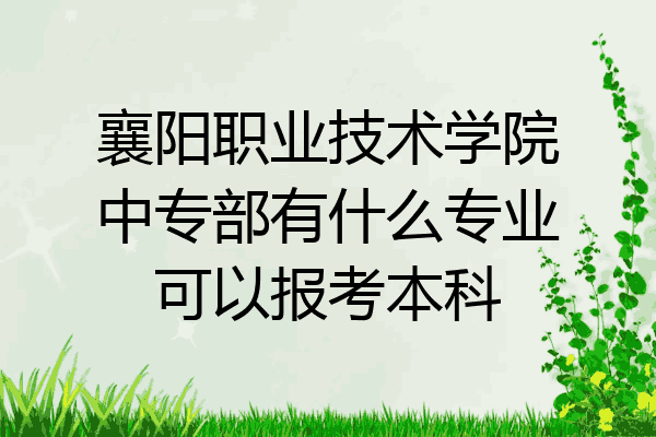 襄阳职业技术学院中专部有什么专业可以报考本科