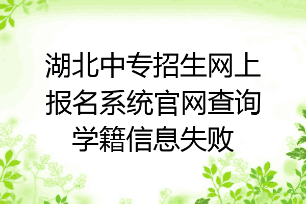 湖北中专招生网上报名系统官网查询学籍信息失败
