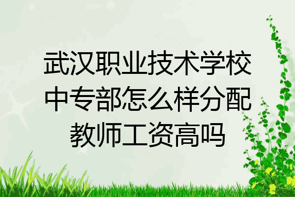 武汉职业技术学校中专部怎么样分配教师工资高吗