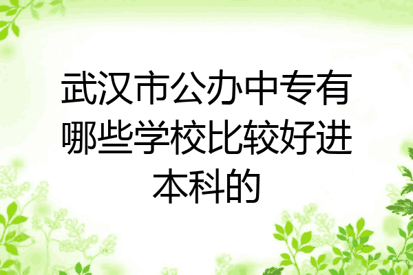 武汉市公办中专有哪些学校比较好进本科的