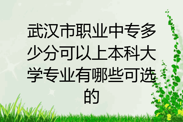武汉市职业中专多少分可以上本科大学专业有哪些可选的