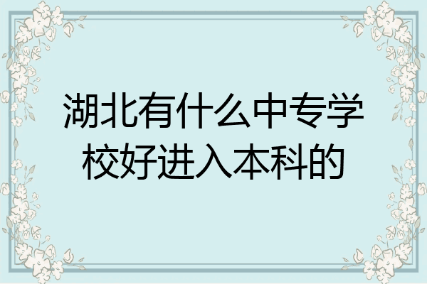 湖北有什么中专学校好进入本科的