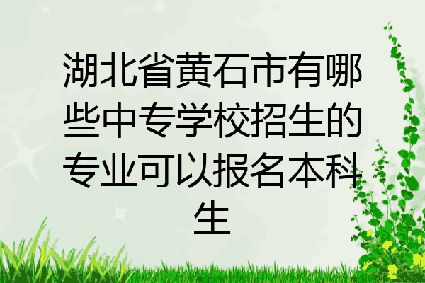 湖北省黄石市有哪些中专学校招生的专业可以报名本科生
