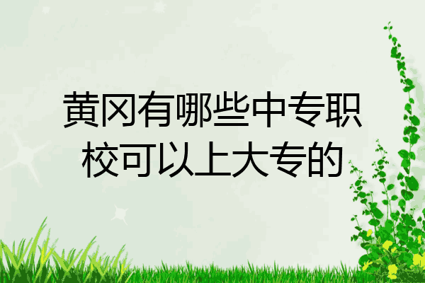 黄冈有哪些中专职校可以上大专的