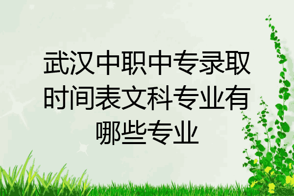 武汉中职中专录取时间表文科专业有哪些专业
