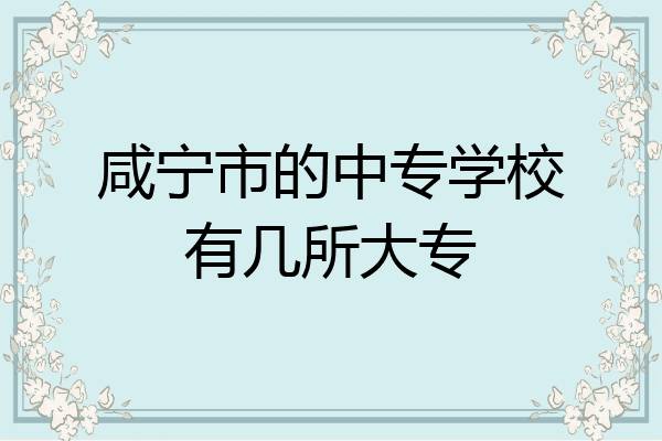 咸宁市的中专学校有几所大专