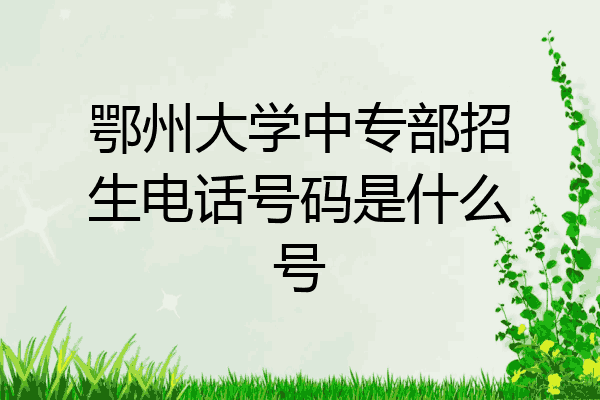 鄂州大学中专部招生电话号码是什么号