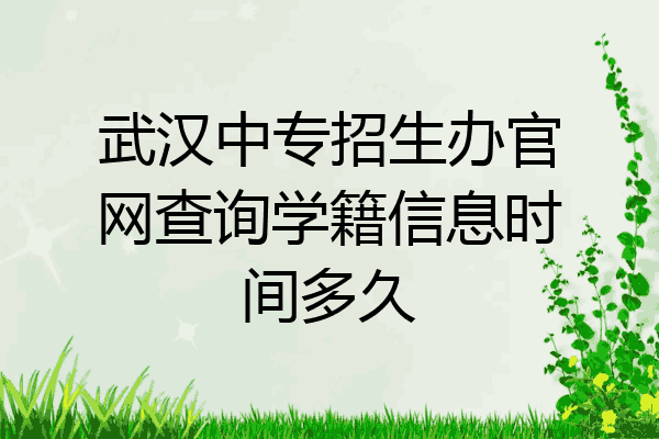 武汉中专招生办官网查询学籍信息时间多久