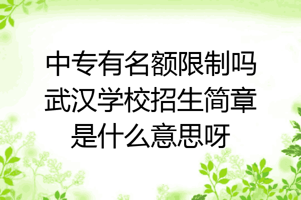 中专有名额限制吗武汉学校招生简章是什么意思呀