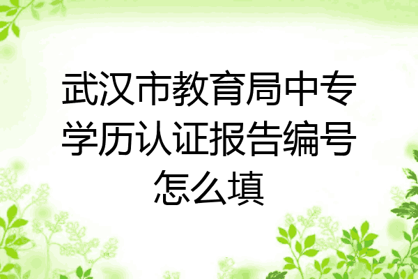 武汉市教育局中专学历认证报告编号怎么填