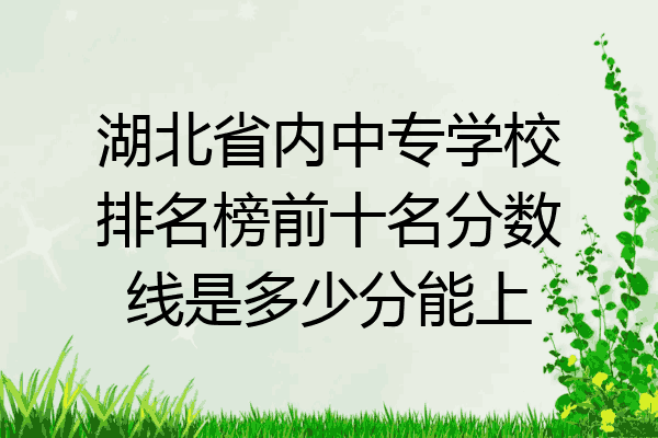 湖北省内中专学校排名榜前十名分数线是多少分能上