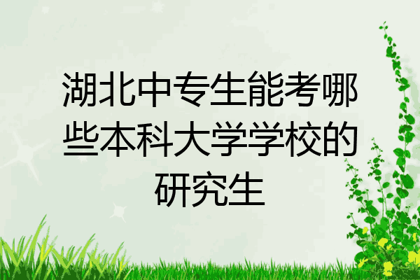 湖北中专生能考哪些本科大学学校的研究生