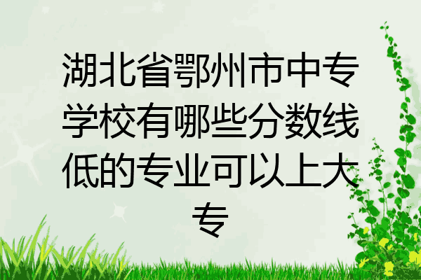 湖北省鄂州市中专学校有哪些分数线低的专业可以上大专