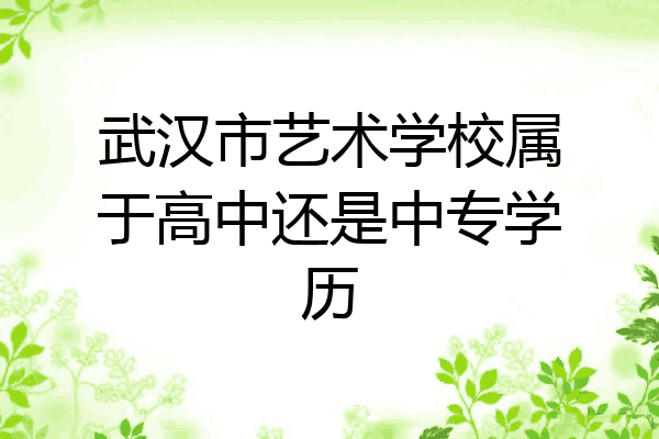 武汉市艺术学校属于高中还是中专学历