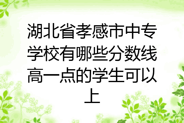 湖北省孝感市中专学校有哪些分数线高一点的学生可以上