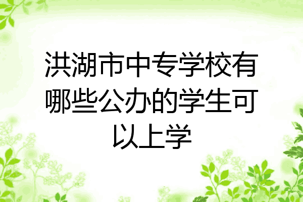 洪湖市中专学校有哪些公办的学生可以上学