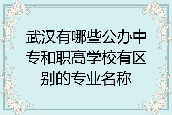武汉有哪些公办中专和职高学校有区别的专业名称
