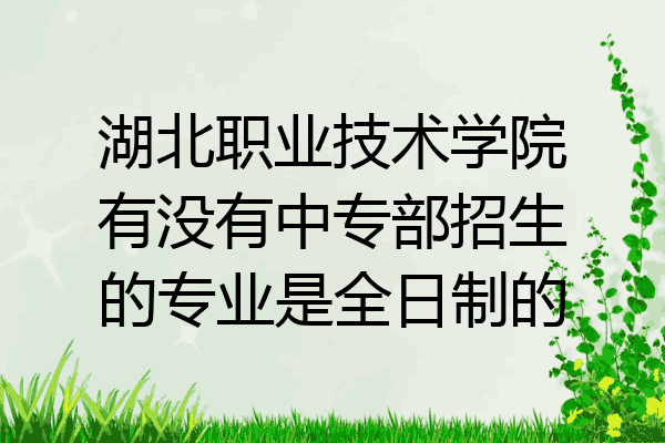 湖北职业技术学院有没有中专部招生的专业是全日制的