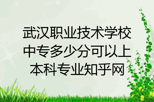 武汉职业技术学校中专多少分可以上本科专业知乎网